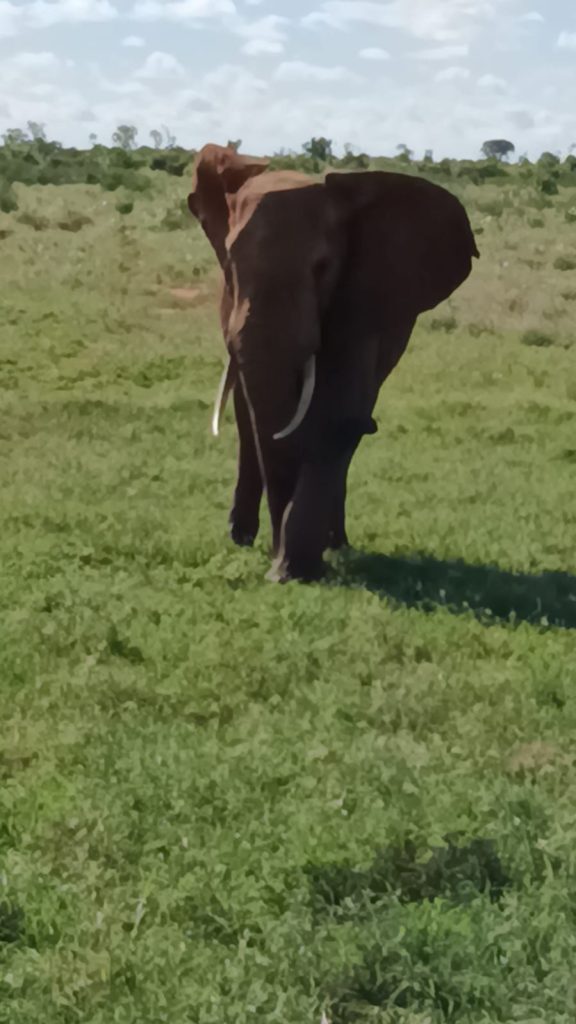 WhatsApp Image 2025-05-25 at 18.53.06_db0c478c